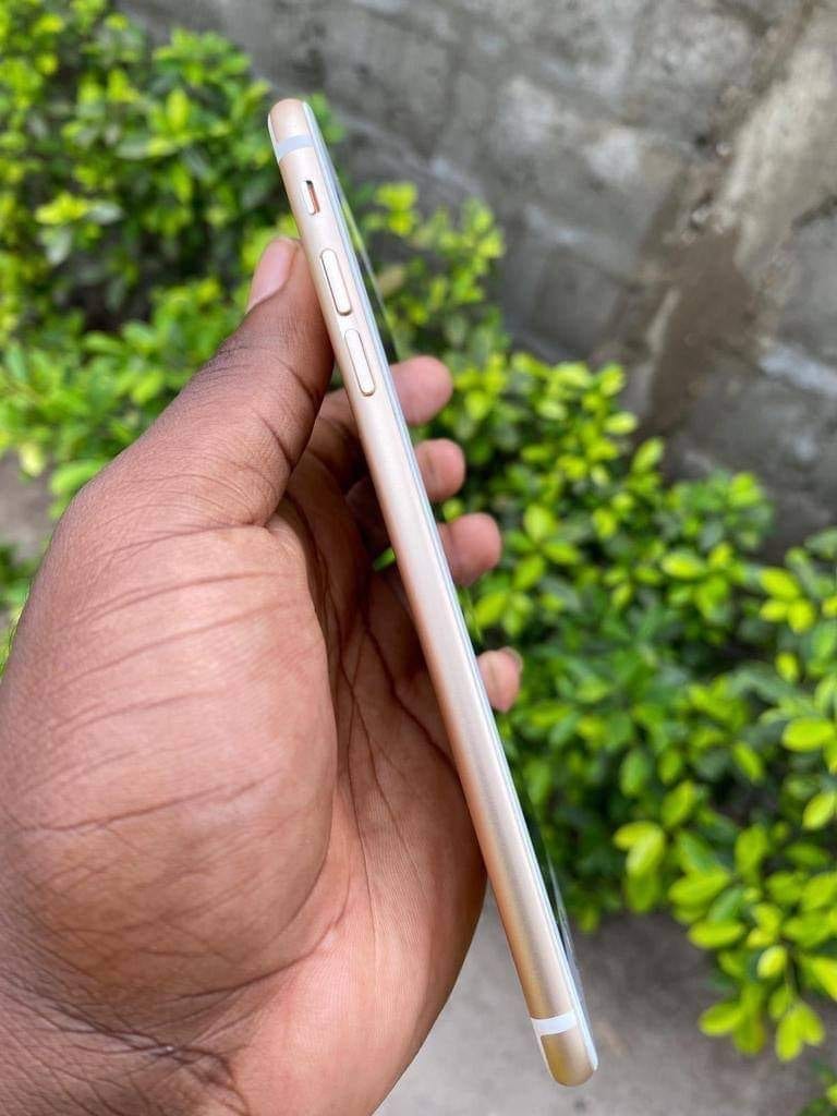 F9026F23-86C5-4F56-AD20-A2431E45E17E