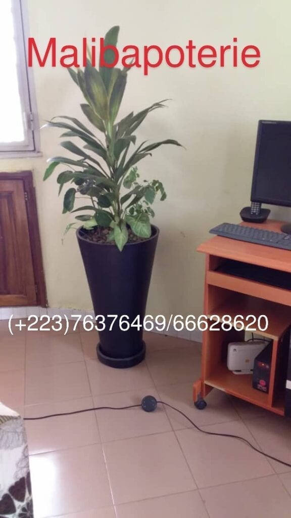 IMG-20181128-WA0004_1