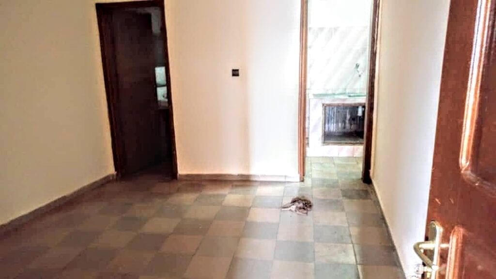 IMG-20201229-WA0006-1