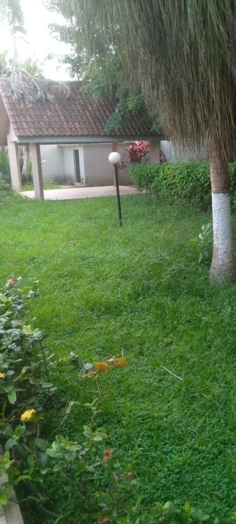 IMG_20201130_152651_027