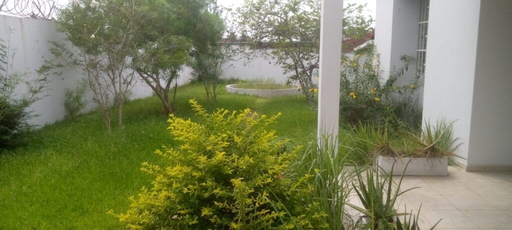 IMG_20201218_125847_824