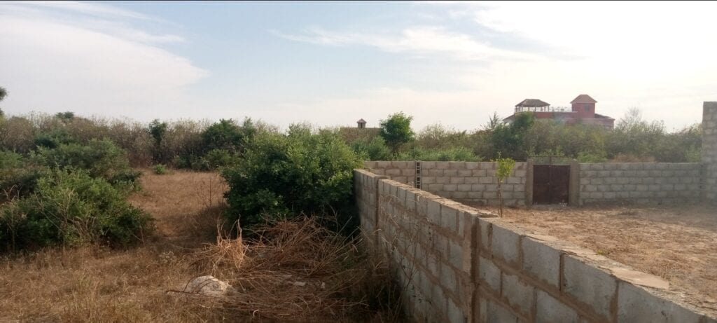 Terrain-225-Metre-Carre-A-Saly-2