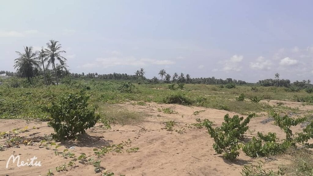 WhatsApp-Image-2020-12-10-at-16.47.33-5