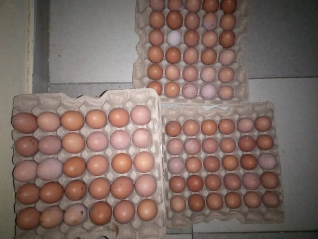 fc1146ee-0599-4b57-be80-2c3e18f5e4e5