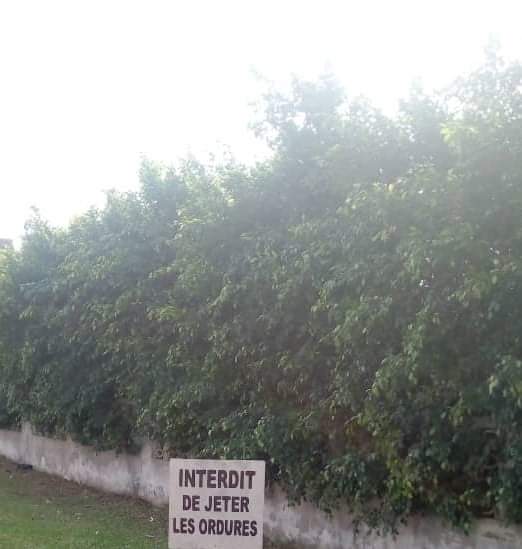 FB_IMG_1610622193697