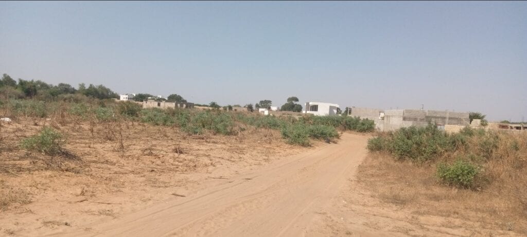 Terrain-300-Metre-Carre-Saly-Joseph-1b