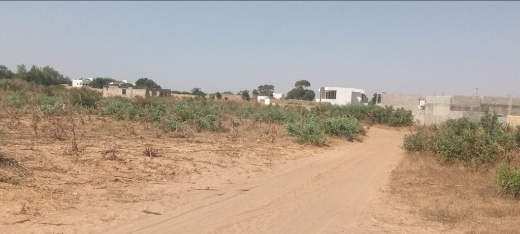 Terrain-300-Metre-Carre-Saly-Joseph-2b