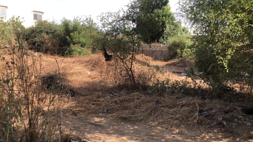 Terrain-750-Metre-Carre-Saly-Carrefour-1