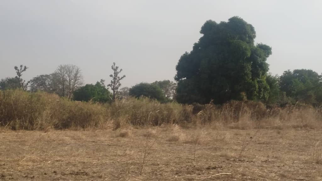 Terrain-De-1-Hectare-A-Mbour-3