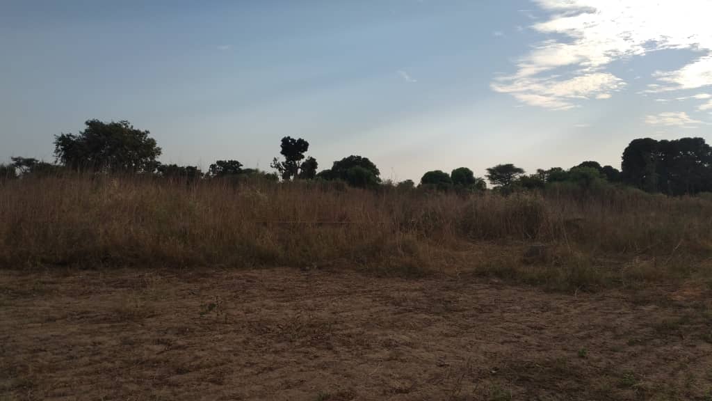 Terrain-De-300-Metre-Carre-A-Mbour-Malicounda-2