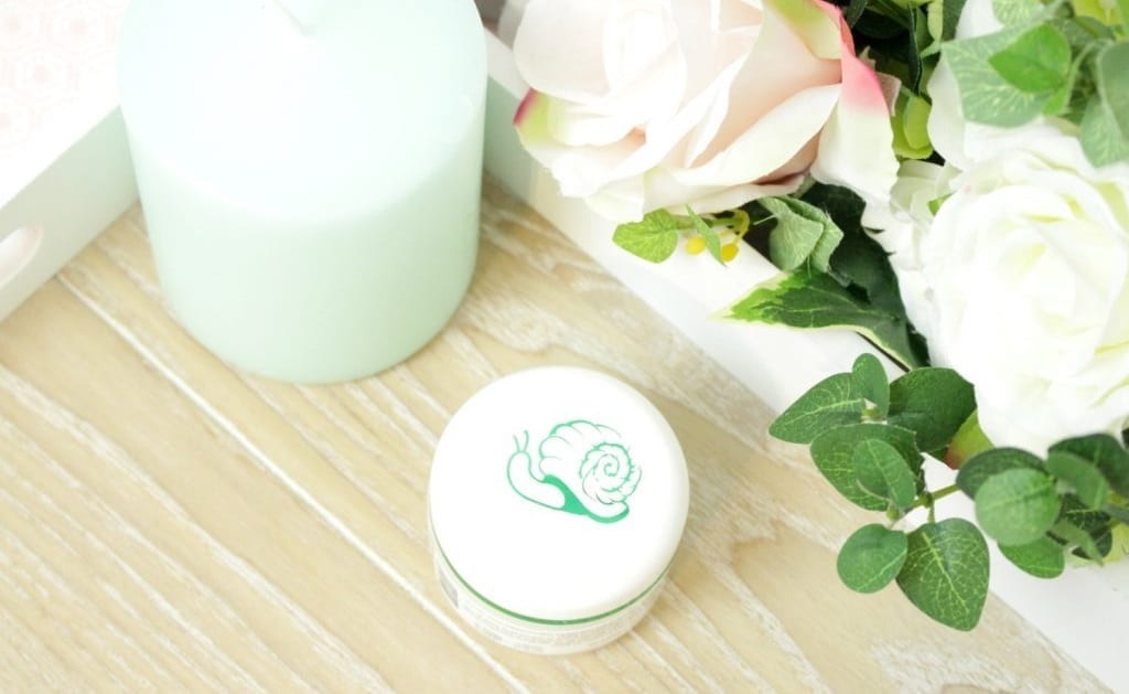 avis-bave-descargot-Action-1