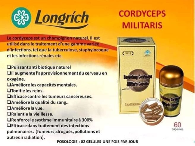 Cordyceps_Militaris