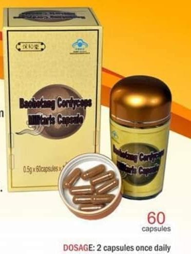 Cordyceps_Militaris-de-LongRich