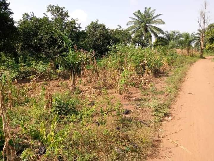 FB_IMG_1612471090240