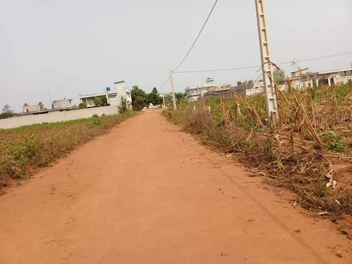 FB_IMG_1612638462826