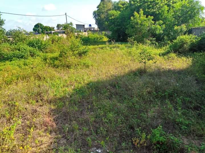 FB_IMG_1612638962981