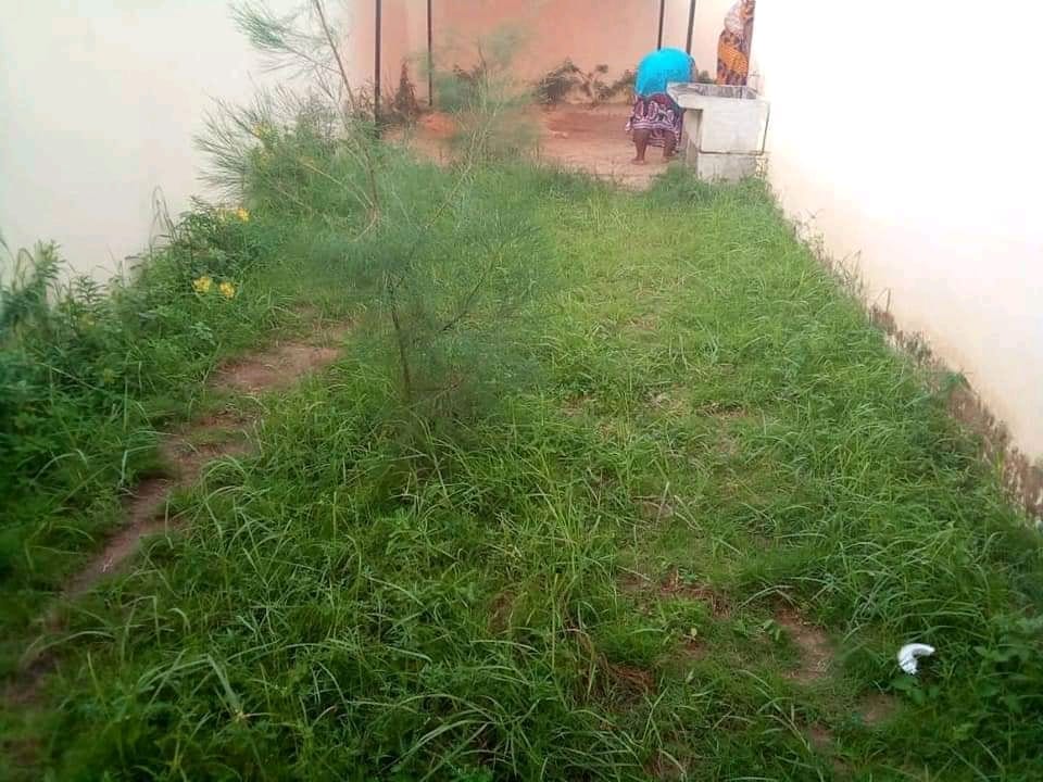 FB_IMG_16134880146843818