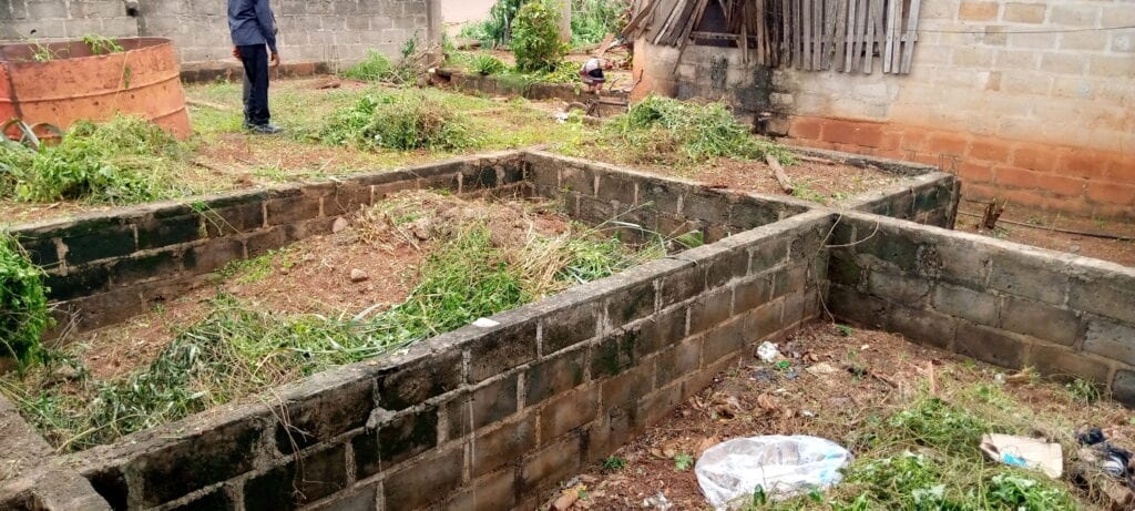 IMG_20201021_125043_397