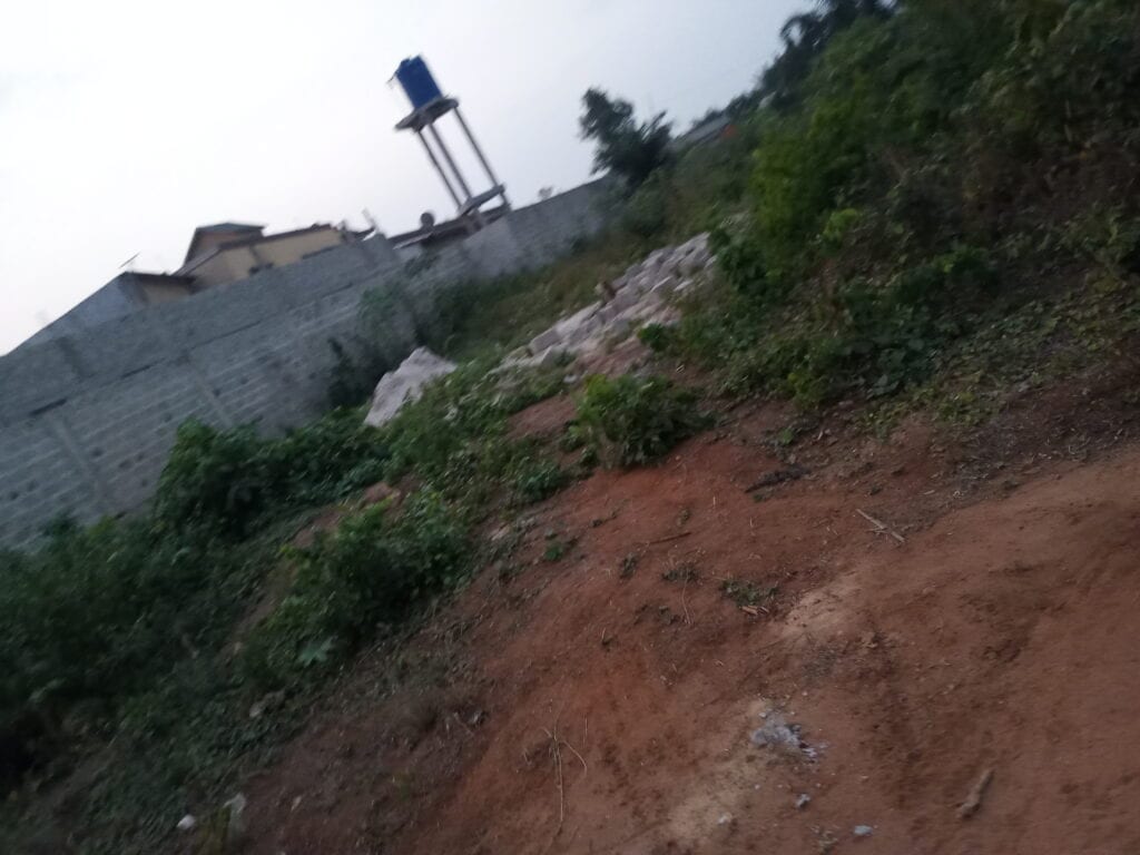 IMG_20210130_190740_791