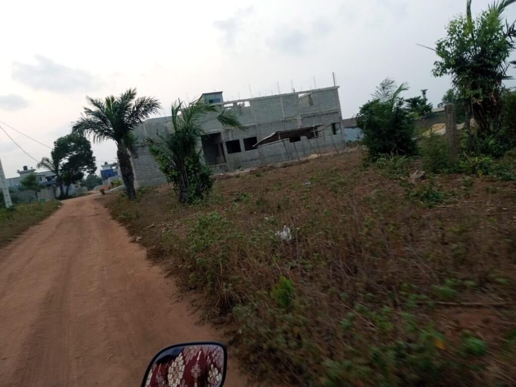 IMG_20210201_184419_132