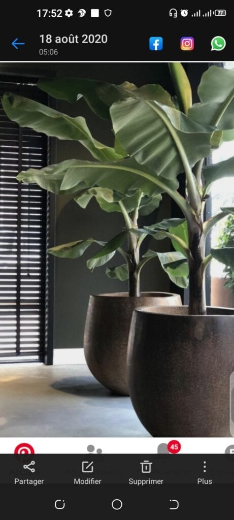 Screenshot_20210111-175223