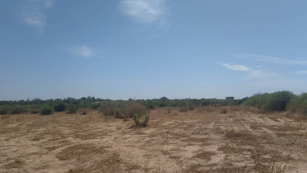 Terrain-1-Hectare-A-Nguerigne-4