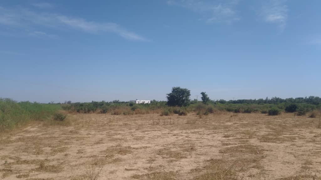 Terrain-1-Hectare-A-Nguerigne-5