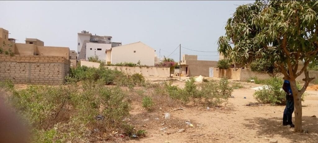 Terrain-300-metre-carre-angle-a-vendre-Saly-Velingara-4