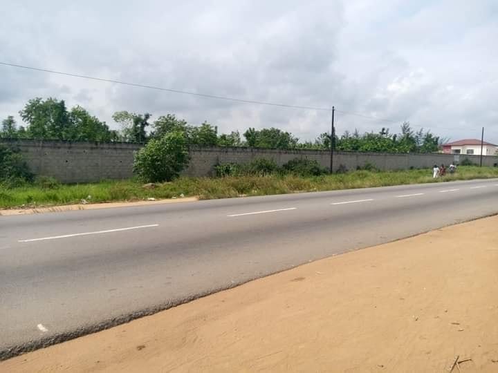 terain-12ha-modeste1