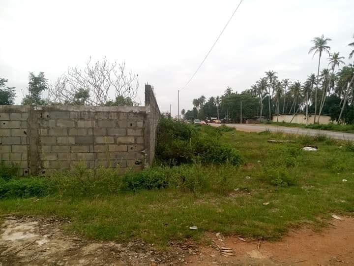 terain-12ha-modeste2