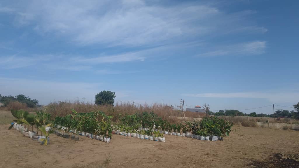 terrain-16-ha-a-nguerigne-4