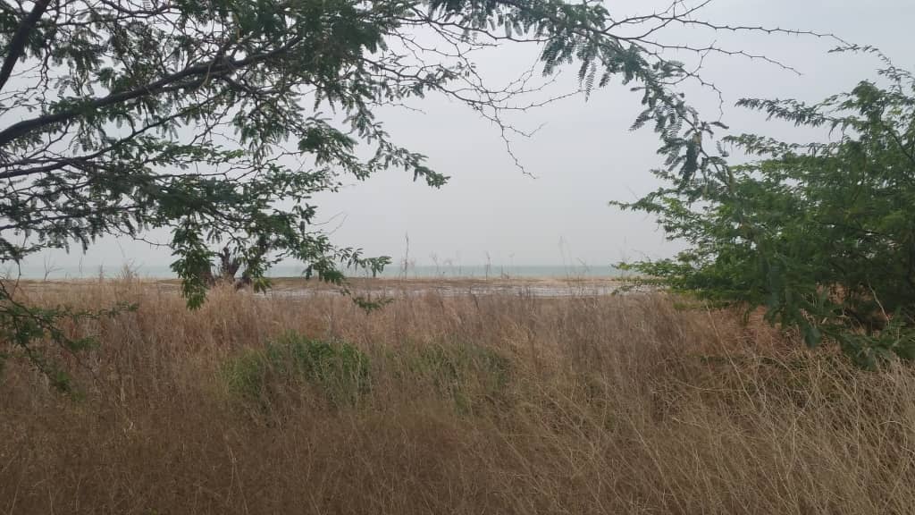 terrain-500-metres-carre-a-pointe-sarene-3