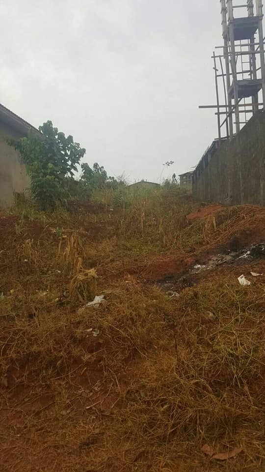 162195449_1604489656409181_2162747744753074659_n