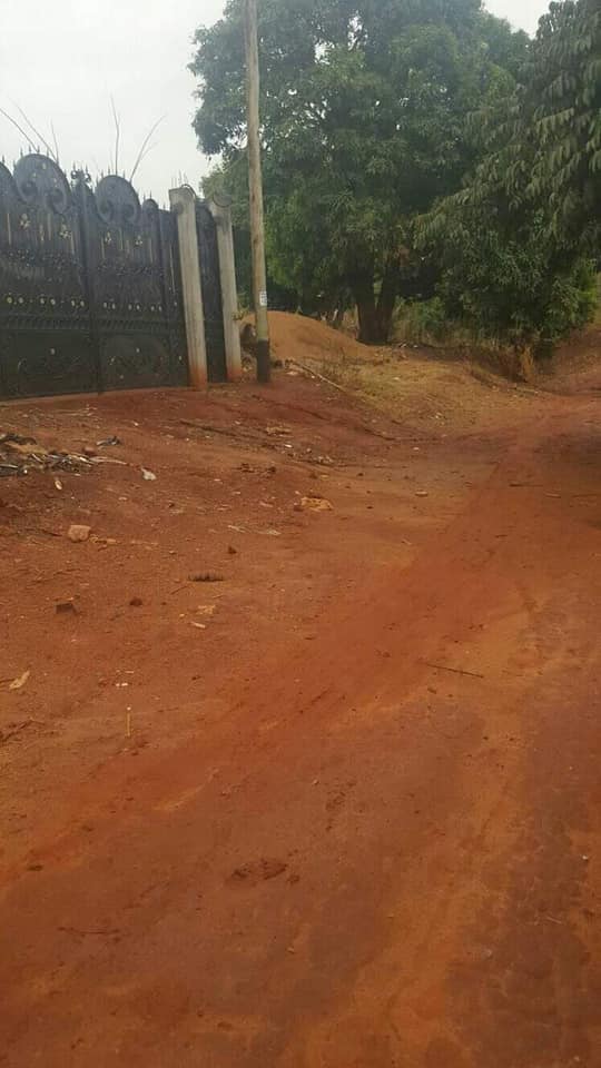 162439510_1604489746409172_1277782032947322540_n