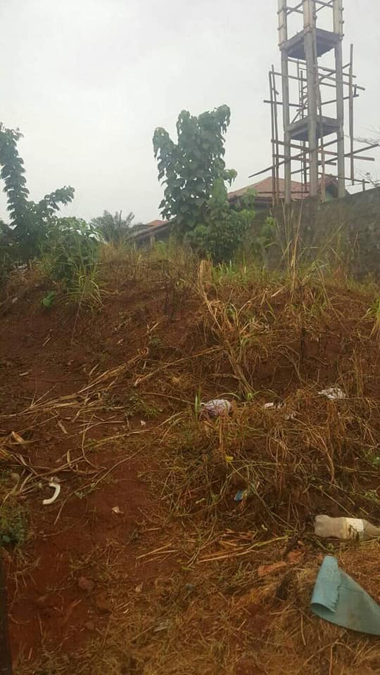 162888413_1604489703075843_6223815272563307337_n