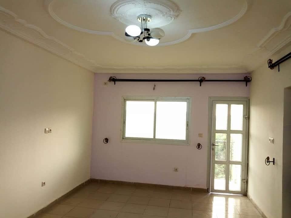 165613776_1609892252535588_3906389271236408396_n