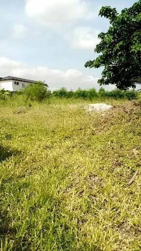 2000m2-pres-de-drogba4