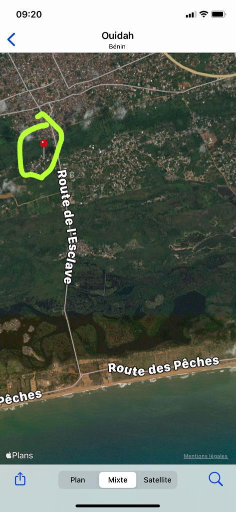 IMG-20210306-WA0013-1