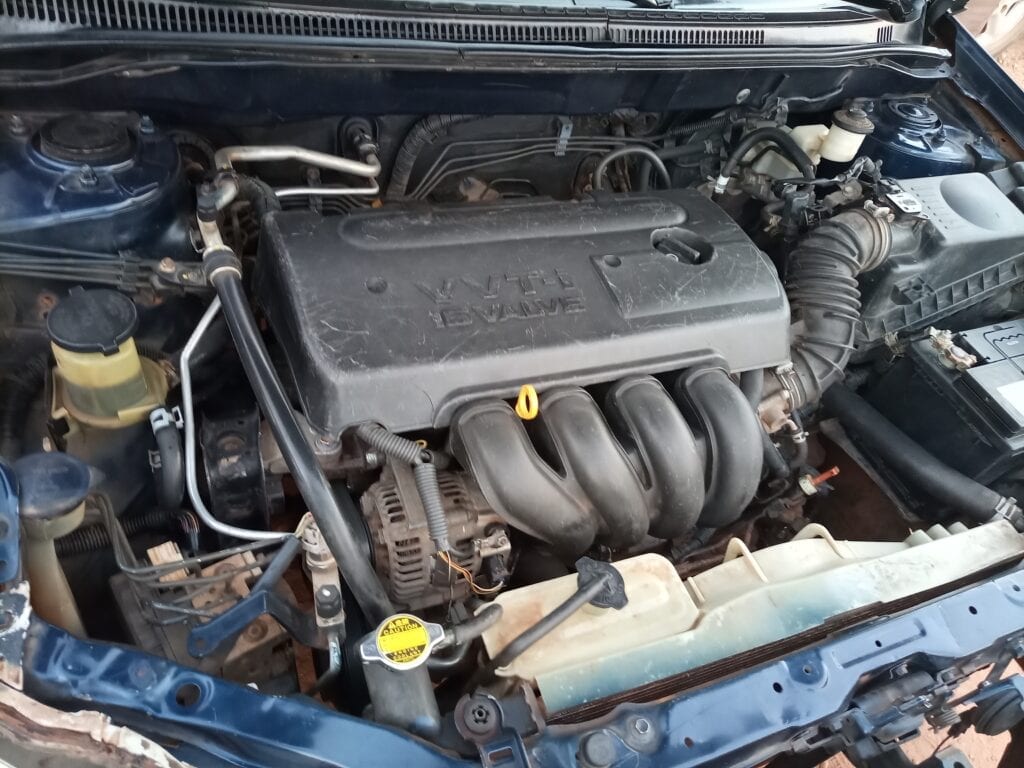 IMG_20210224_181235_595