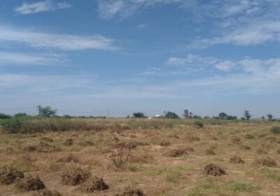 Terrain 1 hectare a Ngerigne Mbambara 6
