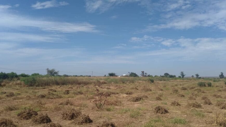Terrain-1-hectare-a-Ngerigne-Mbambara-6