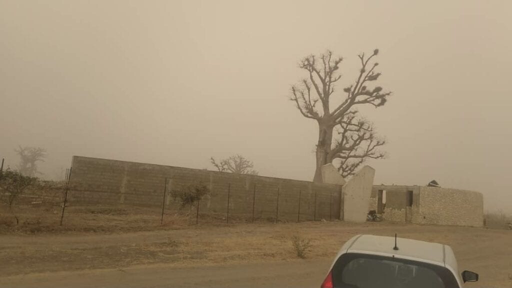 Terrain-1.5-hectares-a-Nguerigne-Nord-1