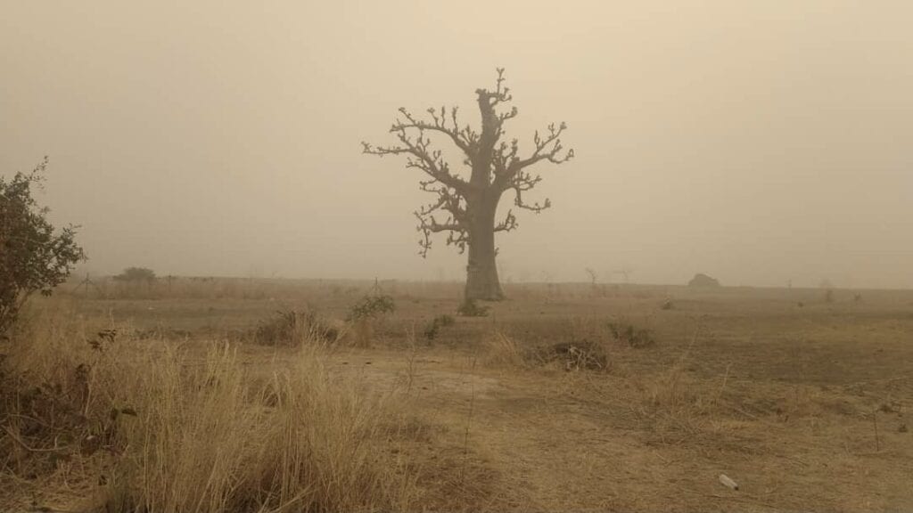 Terrain-1.5-hectares-a-Nguerigne-Nord-4