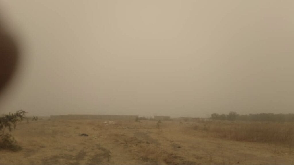 Terrain-1.5-hectares-a-Nguerigne-Nord-7