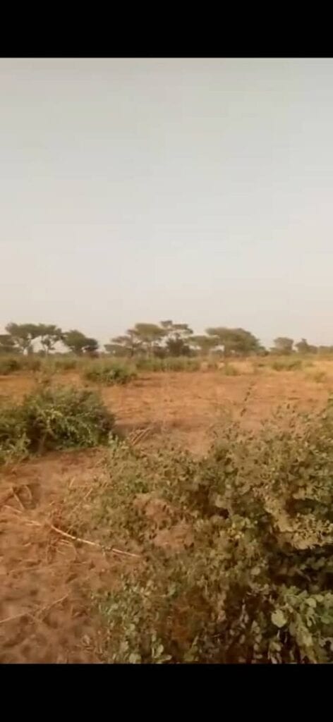 Terrain-15-Hectares-A-Malicounda-1-