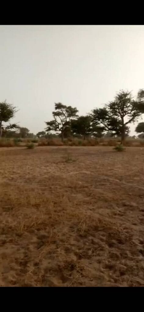 Terrain-15-Hectares-A-Malicounda-5