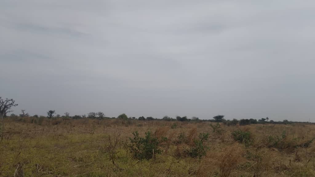 Terrain-3-hectares-a-Mbodiene-Guej-3
