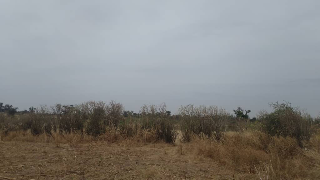 Terrain-3-hectares-a-Mbodiene-Guej-5