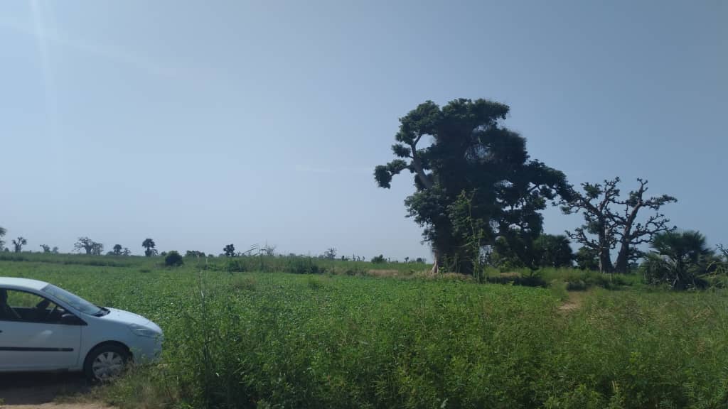 Terrain-4000-metres-carres-a-Somone-4