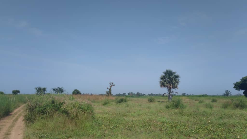 Terrain-4000-metres-carres-a-Somone-5
